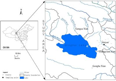 Nitrogen Deposition Shifts Grassland Communities Through Directly Increasing Dominance of Graminoids: A 3-Year Case Study From the Qinghai-Tibetan Plateau